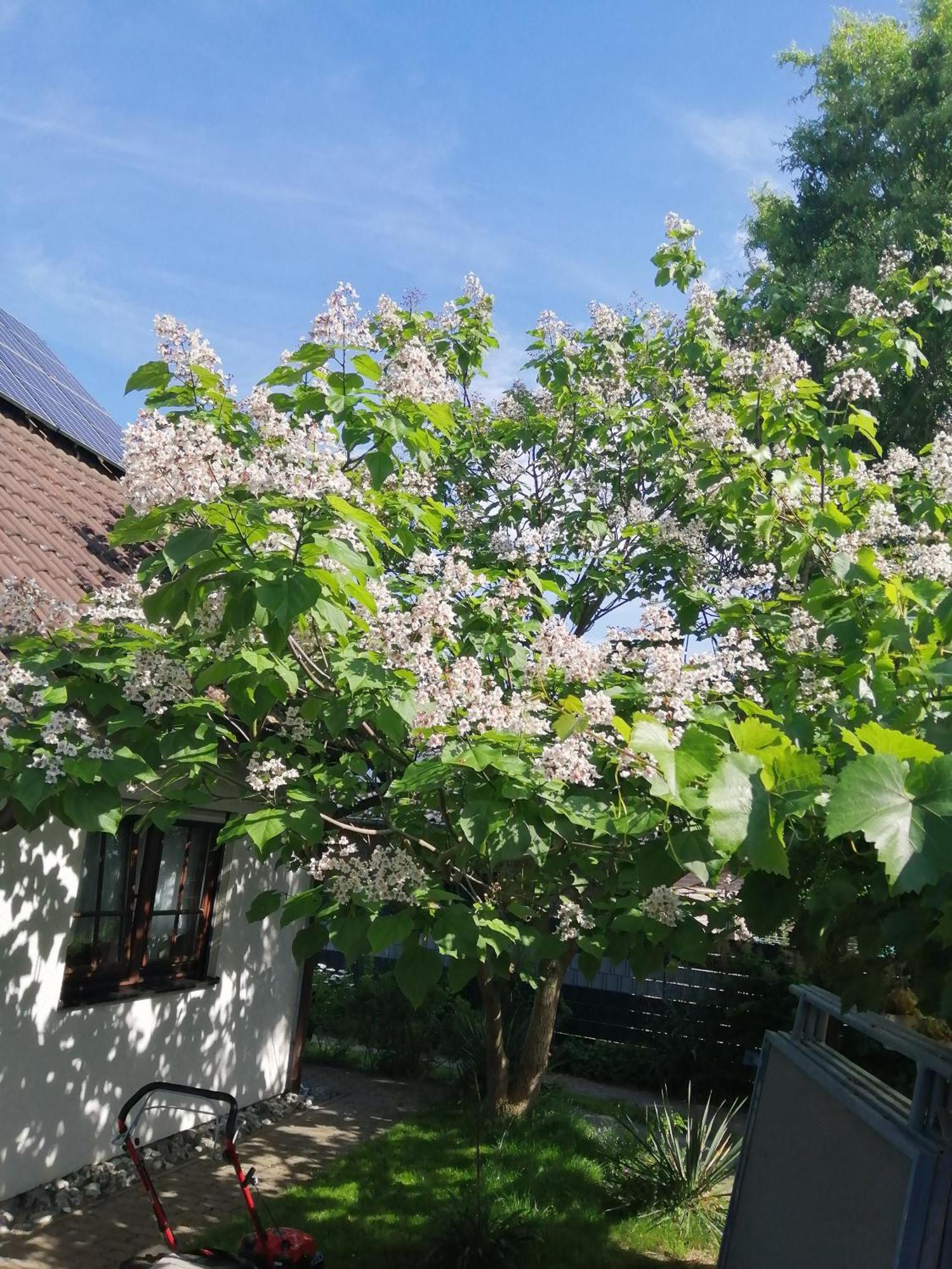 Kleine Hedwig Appartement Putbus Buitenkant foto